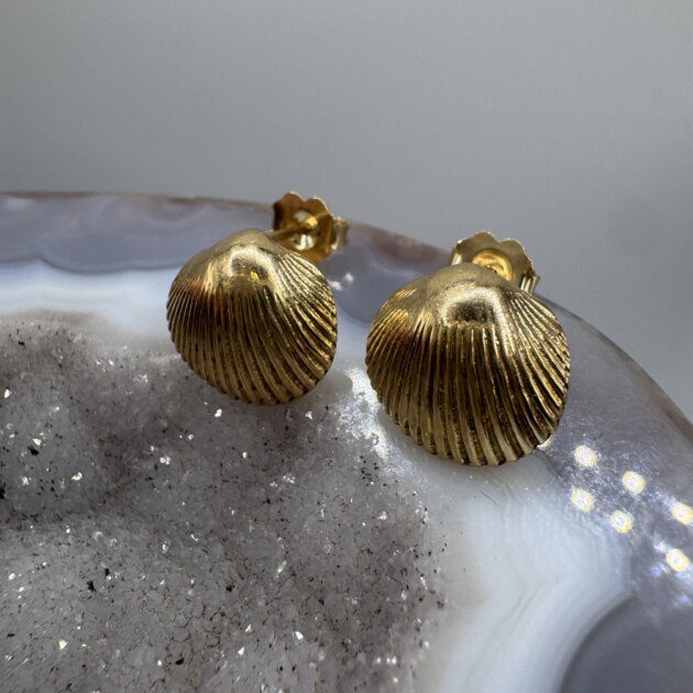 14K Yellow Gold Shell Stud Earrings